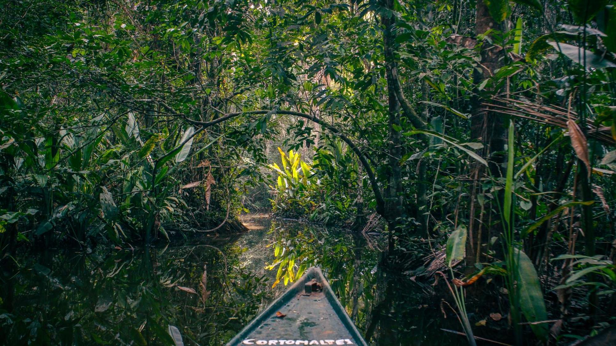 Corto Maltes Amazonia Lodge Пуэрто-Мальдонадо Экстерьер фото