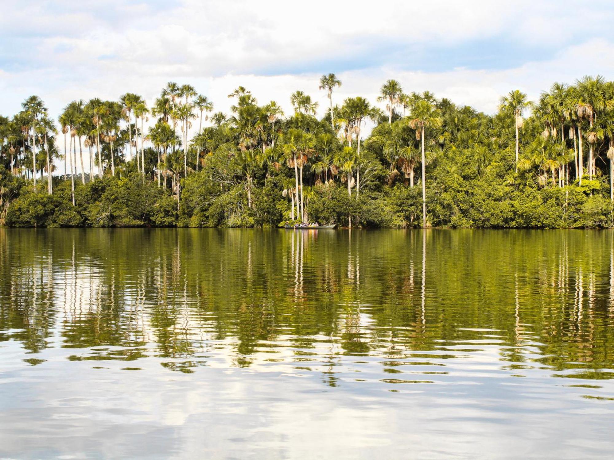 Corto Maltes Amazonia Lodge Пуэрто-Мальдонадо Экстерьер фото