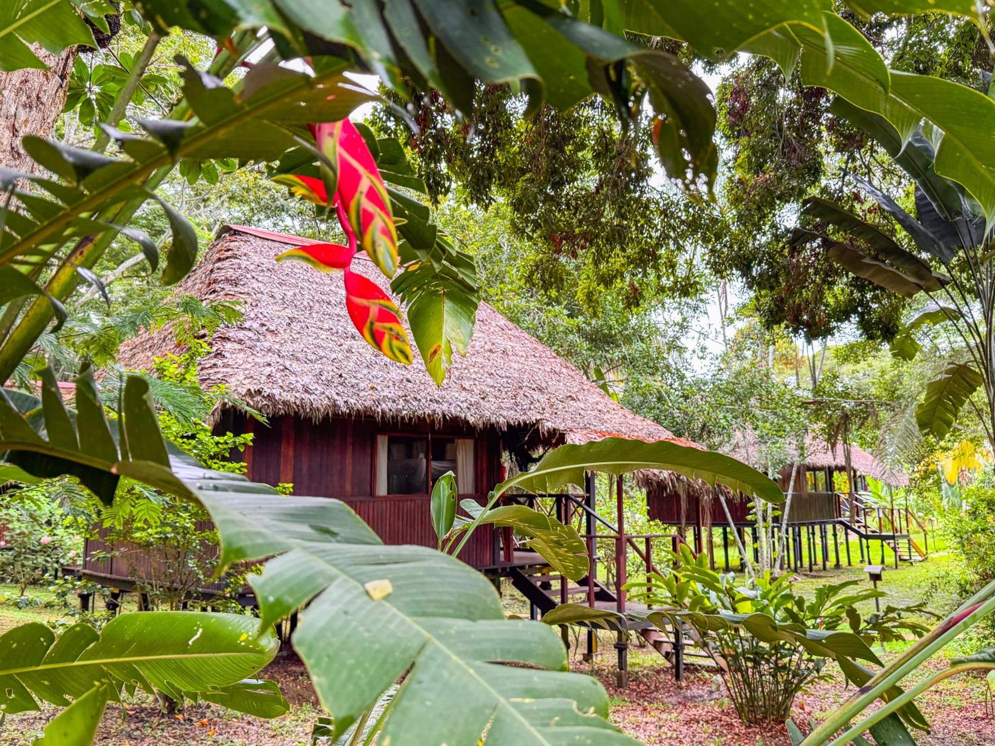 Corto Maltes Amazonia Lodge Пуэрто-Мальдонадо Экстерьер фото