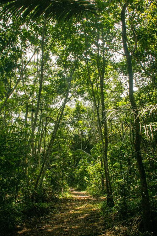 Corto Maltes Amazonia Lodge Пуэрто-Мальдонадо Экстерьер фото