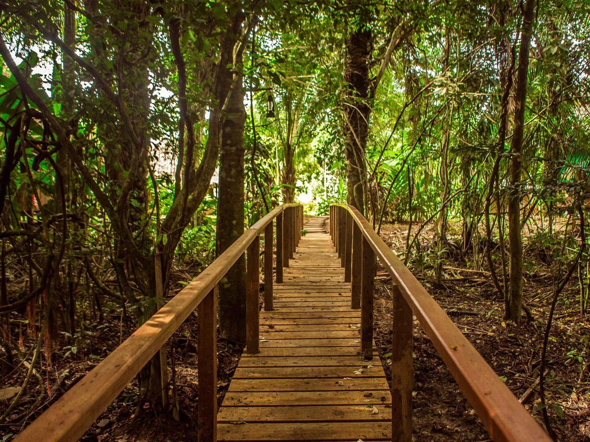 Corto Maltes Amazonia Lodge Пуэрто-Мальдонадо Экстерьер фото